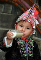 PICCOLO THAI.jpg (92718 byte)