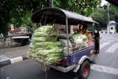 TUC TUC.jpg (107200 byte)