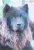 bimba.jpg (32284 byte)