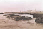 costa.jpg (29205 byte)