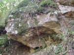particolari Castagneto Sasso Pisano (3).jpg (106421 byte)