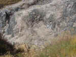 Fumarole e Putizze di Sasso Pisano 3.jpg (110180 byte)