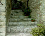 Immagine 017.jpg (64894 byte)