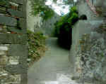 Immagine 023.jpg (64000 byte)
