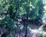 Immagine 043.jpg (110362 byte)