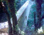 Ponte lavatoio.jpg (91921 byte)