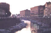 FOS REA 1.jpg (49207 byte)