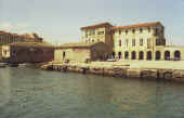mar sco d r.jpg (46736 byte)