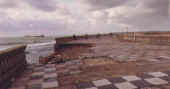 TER MAS 90.jpg (38312 byte)