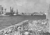 mar por 1986.jpg (34072 byte)
