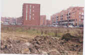 sco 1996.jpg (54557 byte)