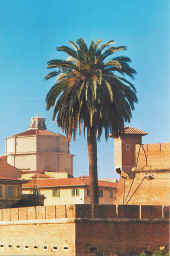 palmafortezza.jpg (32647 byte)