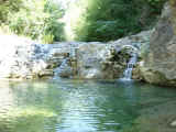 Fiume Cornia Sasso Pisano particolari (1).jpg (238579 byte)