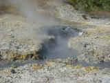 Fumarole di Sasso Pisano.jpg (228771 byte)