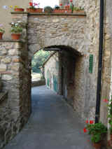 Particolari paese del Sasso Pisano (3).jpg (335419 byte)