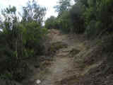DSC01169.JPG (208650 byte)