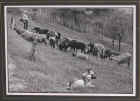 Dscn1912.jpg (50773 byte)
