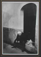 Dscn1913.jpg (43290 byte)