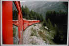 Dscn1914.jpg (34073 byte)