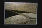 Dscn1916.jpg (65970 byte)
