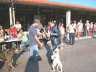 Dscn0762.jpg (54165 byte)