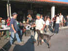 Dscn0763.jpg (53305 byte)