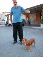 Dscn0771.jpg (48237 byte)