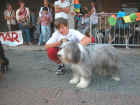Dscn0778.jpg (51086 byte)