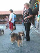Dscn0782.jpg (81586 byte)