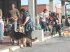 Dscn1825.jpg (54287 byte)