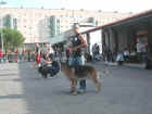 Dscn1826.jpg (44939 byte)