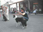 Dscn1827.jpg (41916 byte)