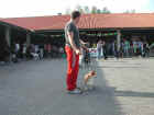 Dscn1829.jpg (51556 byte)
