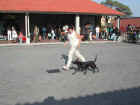 Dscn1830.jpg (46079 byte)