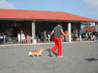 Dscn1831.jpg (43538 byte)