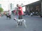 Dscn1835.jpg (43283 byte)