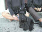 Dscn1838.jpg (32555 byte)