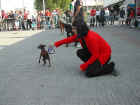 Dscn1841.jpg (51727 byte)