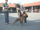 Dscn1844.jpg (45624 byte)