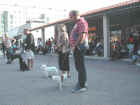 Dscn1845.jpg (42859 byte)