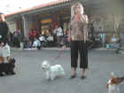 Dscn1846.jpg (43045 byte)