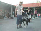 Dscn1848.jpg (43451 byte)
