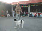 Dscn1859.jpg (43144 byte)