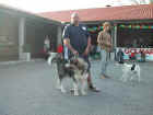 Dscn1860.jpg (44500 byte)