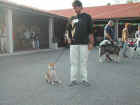 Dscn1861.jpg (42566 byte)