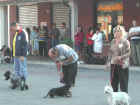 Dscn1863.jpg (45476 byte)
