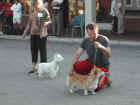 Dscn1864.jpg (35006 byte)
