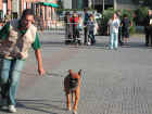 Dscn1867.jpg (62515 byte)