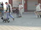 Dscn1872.jpg (39766 byte)