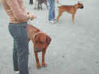 Dscn1879.jpg (35494 byte)
